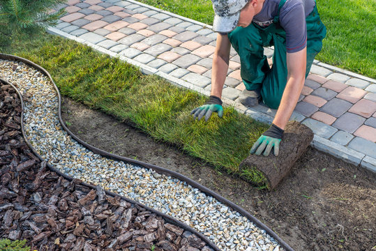 Lawn Installation