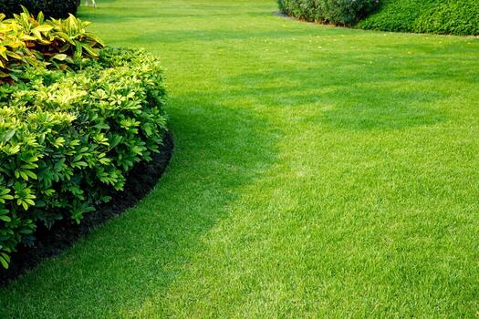 Landscape Maintenance