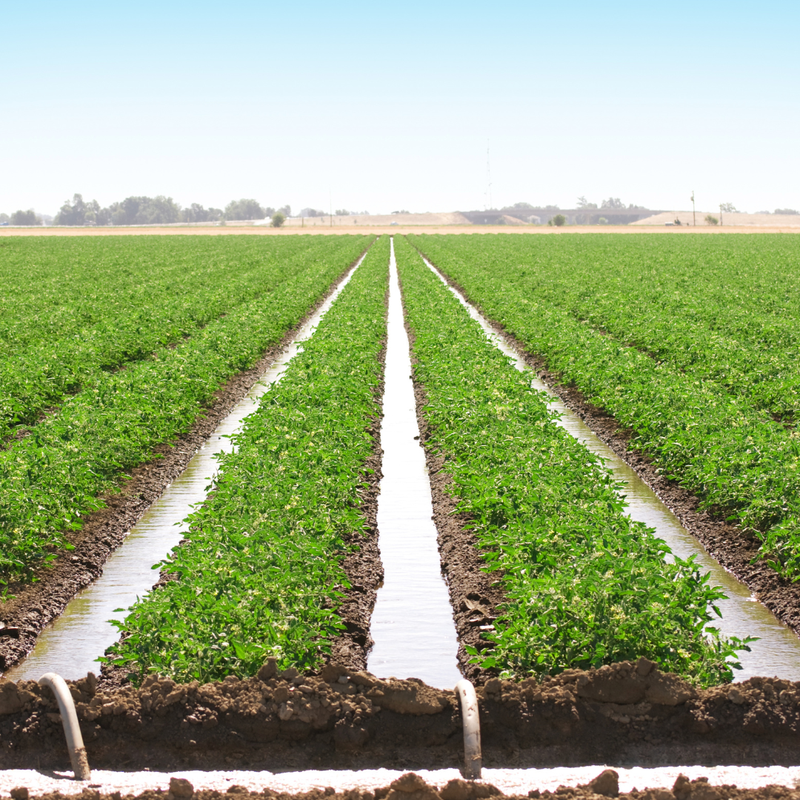 Irrigation